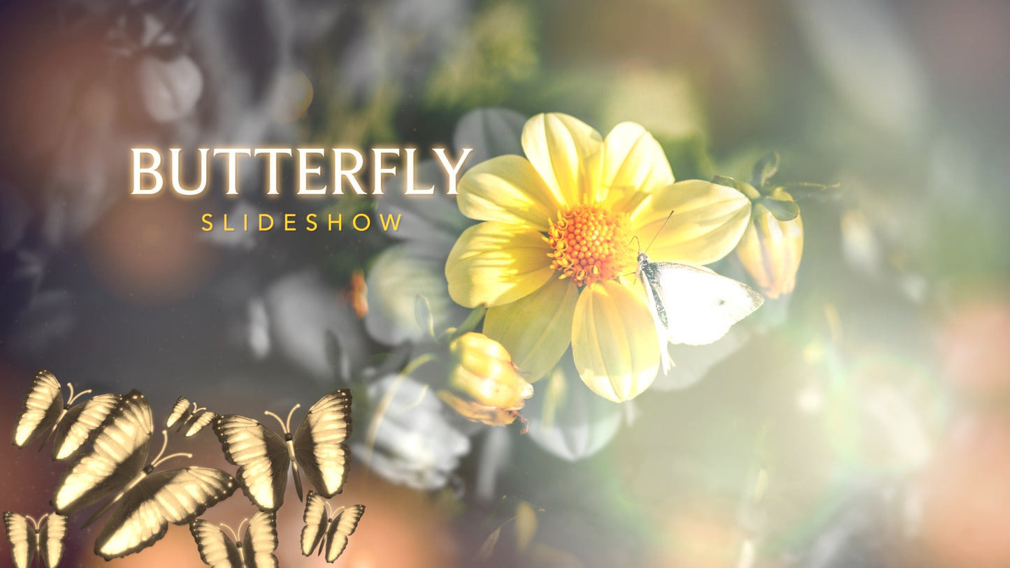 Better Flutter