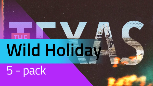 5-Pack Wild Holiday